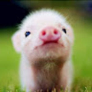 Meet your Posher, Cecilia